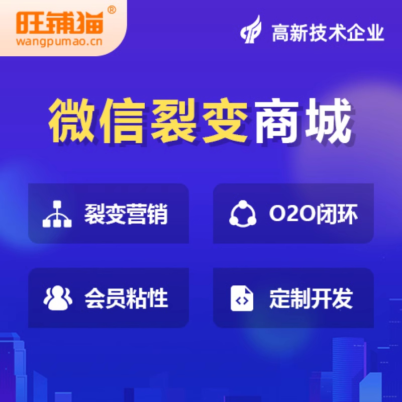商城開(kāi)發(fā)中的安全防護(hù)與數(shù)據(jù)加密策略